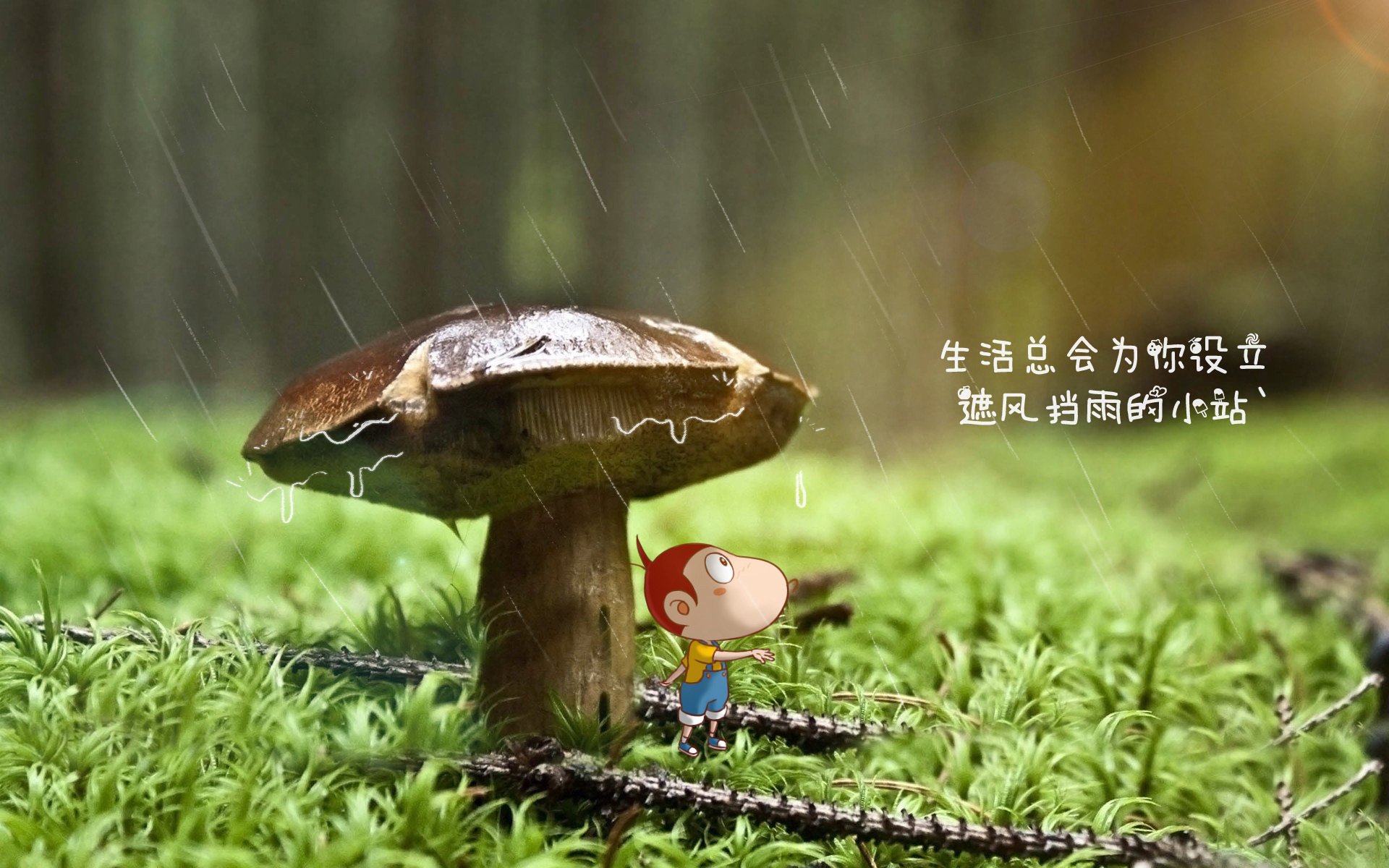科技助力：AI分析和传感器推动球员训练革新，足球机器人传感器