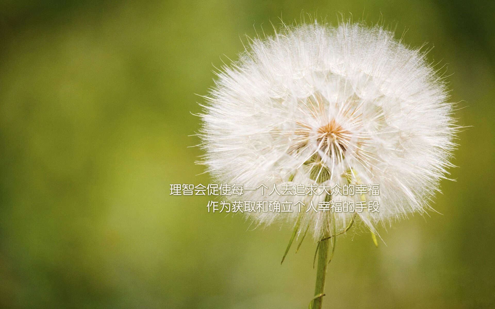 足球直播间互动功能增强球迷粘性，足球直播话术