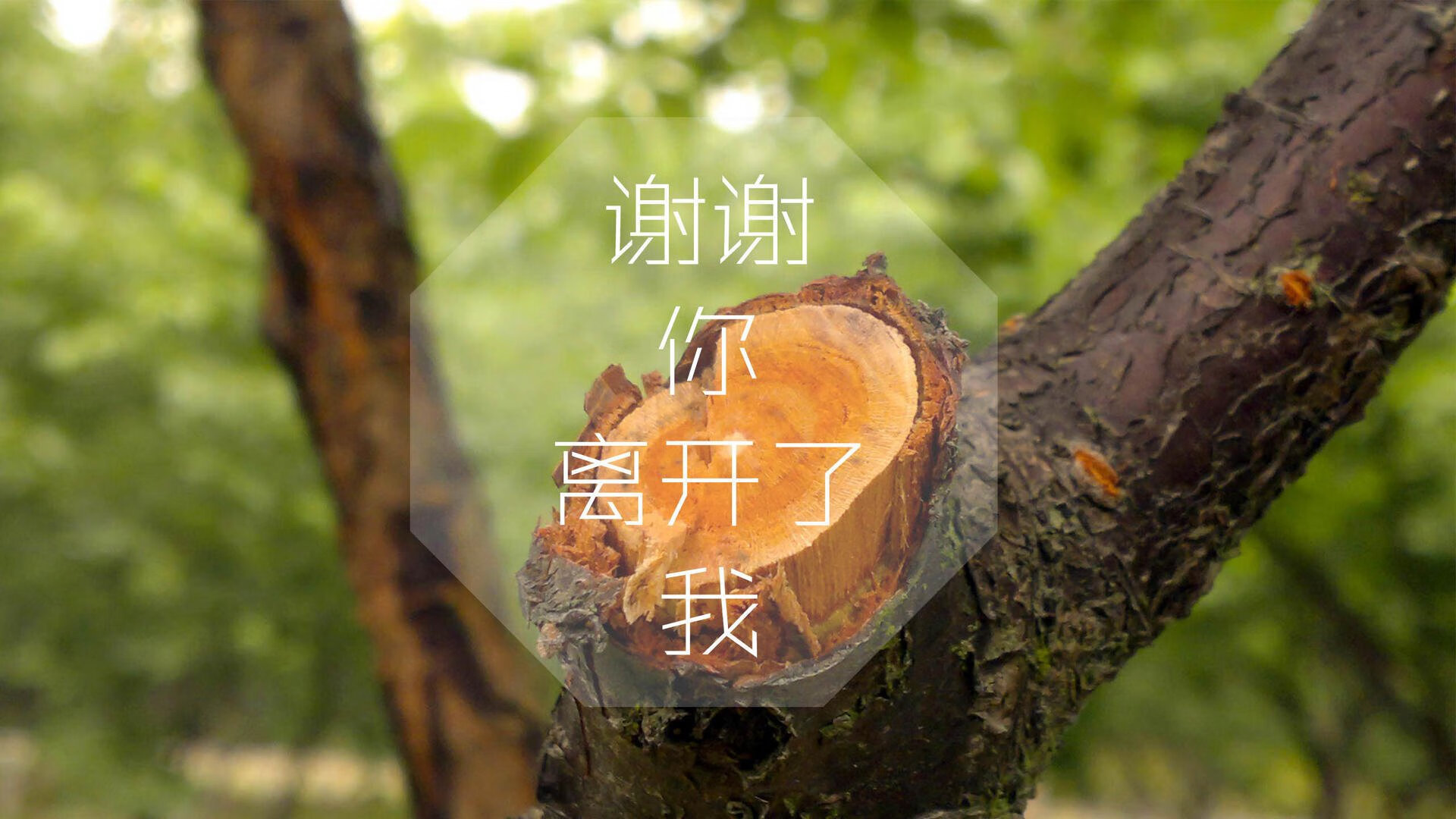 开云官网-灰熊主场战绩持续下滑，球队面临挑战和改变，灰熊近期战绩