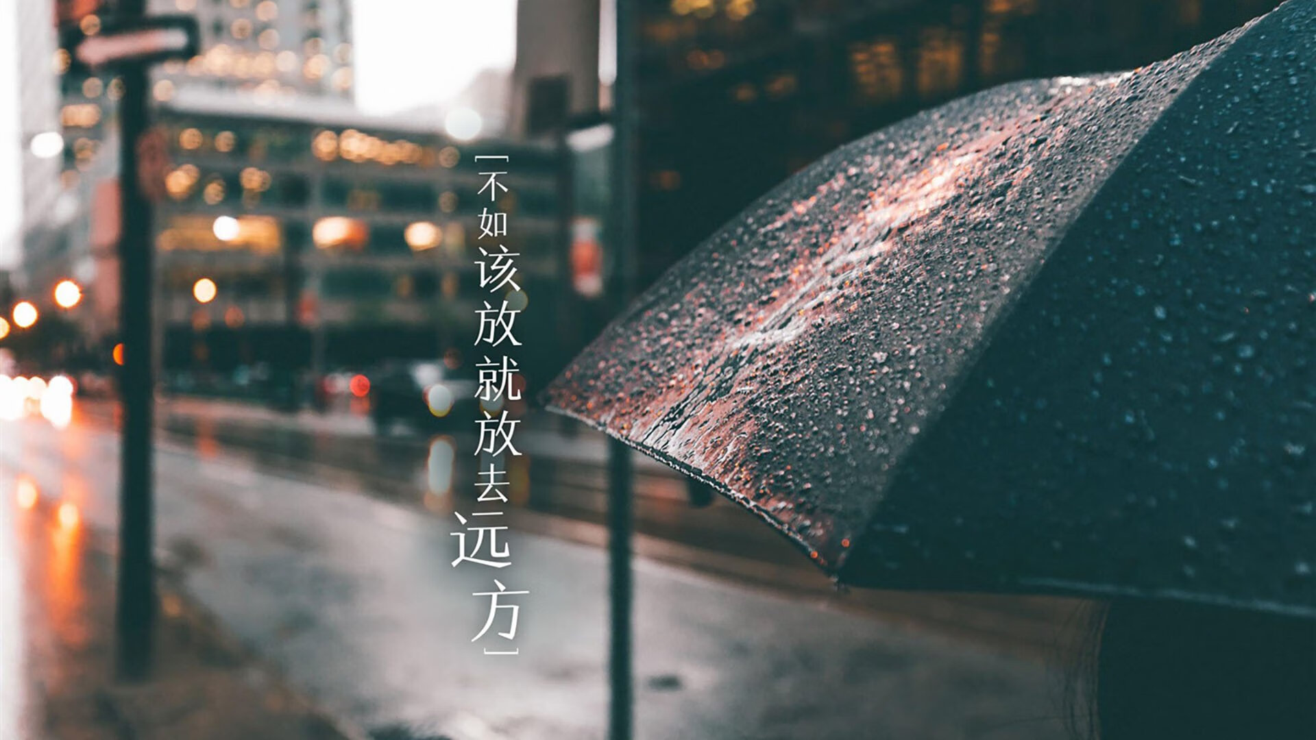 生力啤酒人主帅强调团队协作，生力啤酒价格330ml