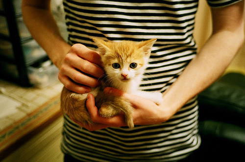 kaiyun网站-中国男篮备战世界杯 加强战术磨合，中国男篮备战世界杯 加强战术磨合了吗