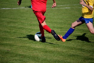 开云-国家体育场馆运营管理论坛探讨智能化方向，国家体育总局体育场馆运营管理办法