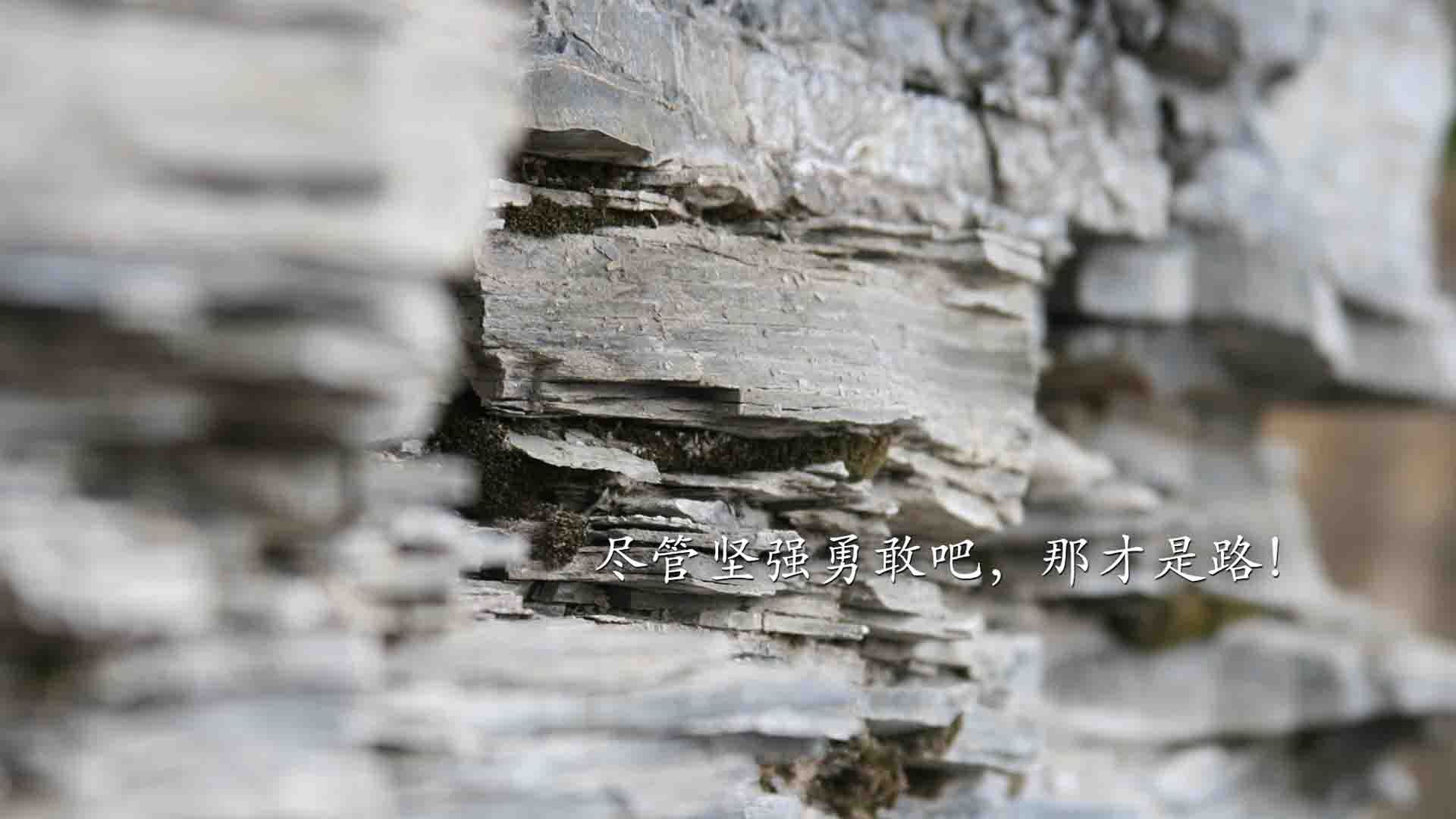 kaiyun中国官方网站-德国队前景展望：如何在国际乒联混合团体世界杯中崭露头角，德国队乒乓球男团名单