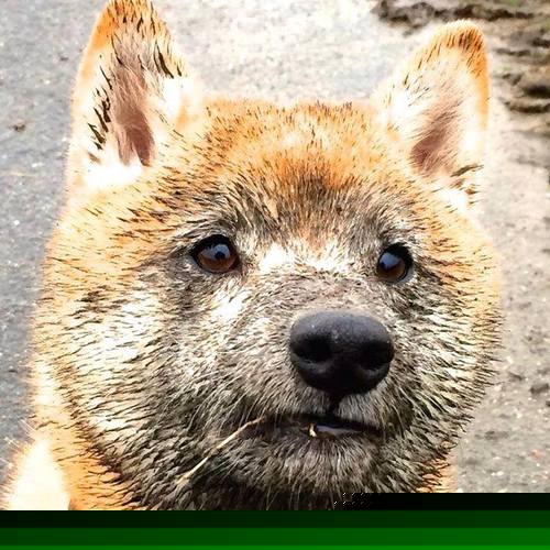 开云网页版-李冰洁表现稳定 成领军人物，李冰洁的主项