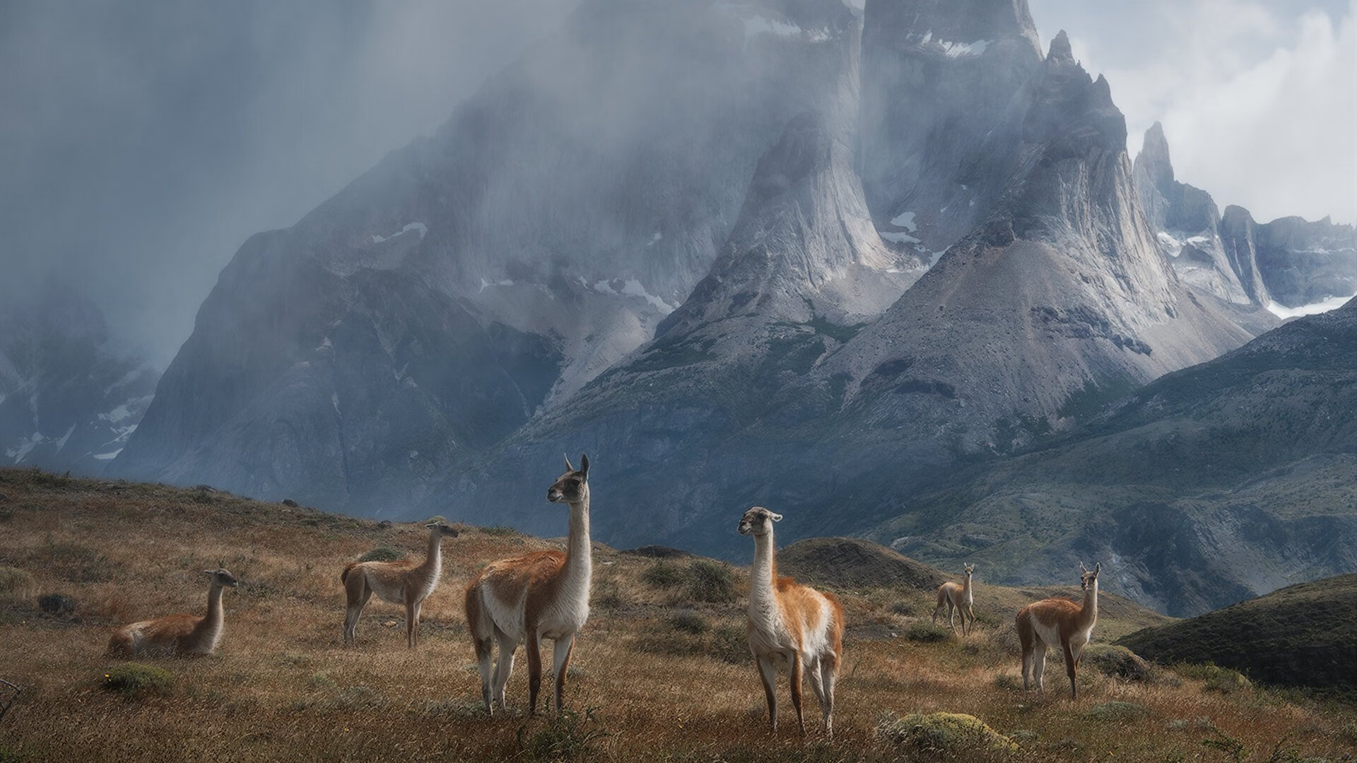 Kaiyun(中国)开云-青训中锋技术细化是否已被忽视，中锋特训什么