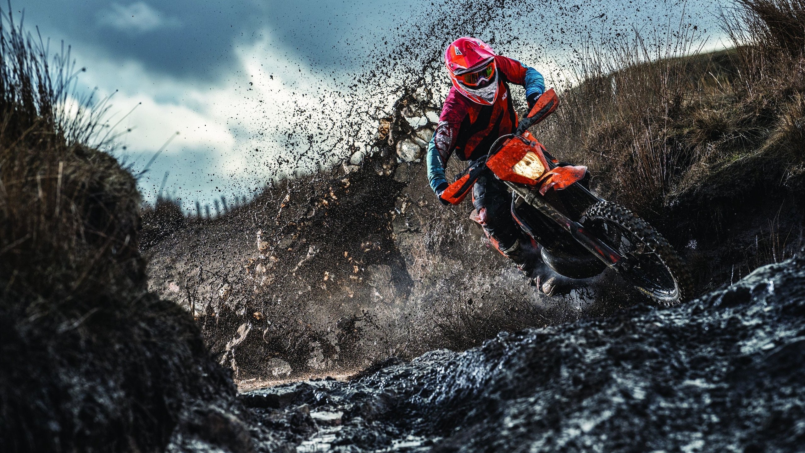 “南非羚羊队的进攻主力：诺克·达维德·彼得森的无与伦比的表现”