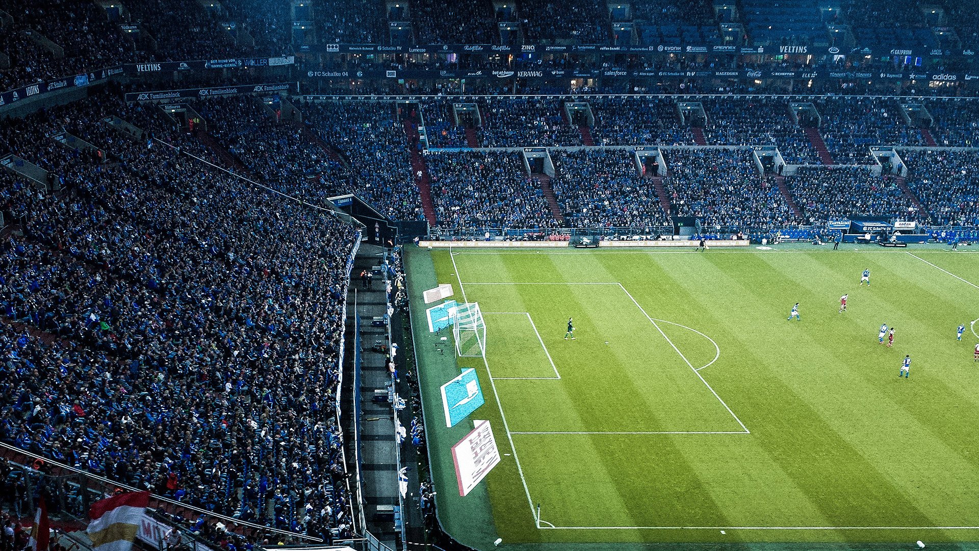 “美洲狮队在橄榄球冠军锦标赛展现强大韧性”