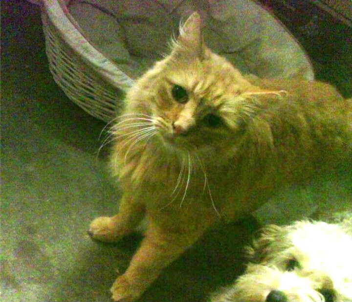 开云·Kaiyun网页版-李恩：全黑队的“攻防一体”，无论是防守还是进攻，他都表现出色