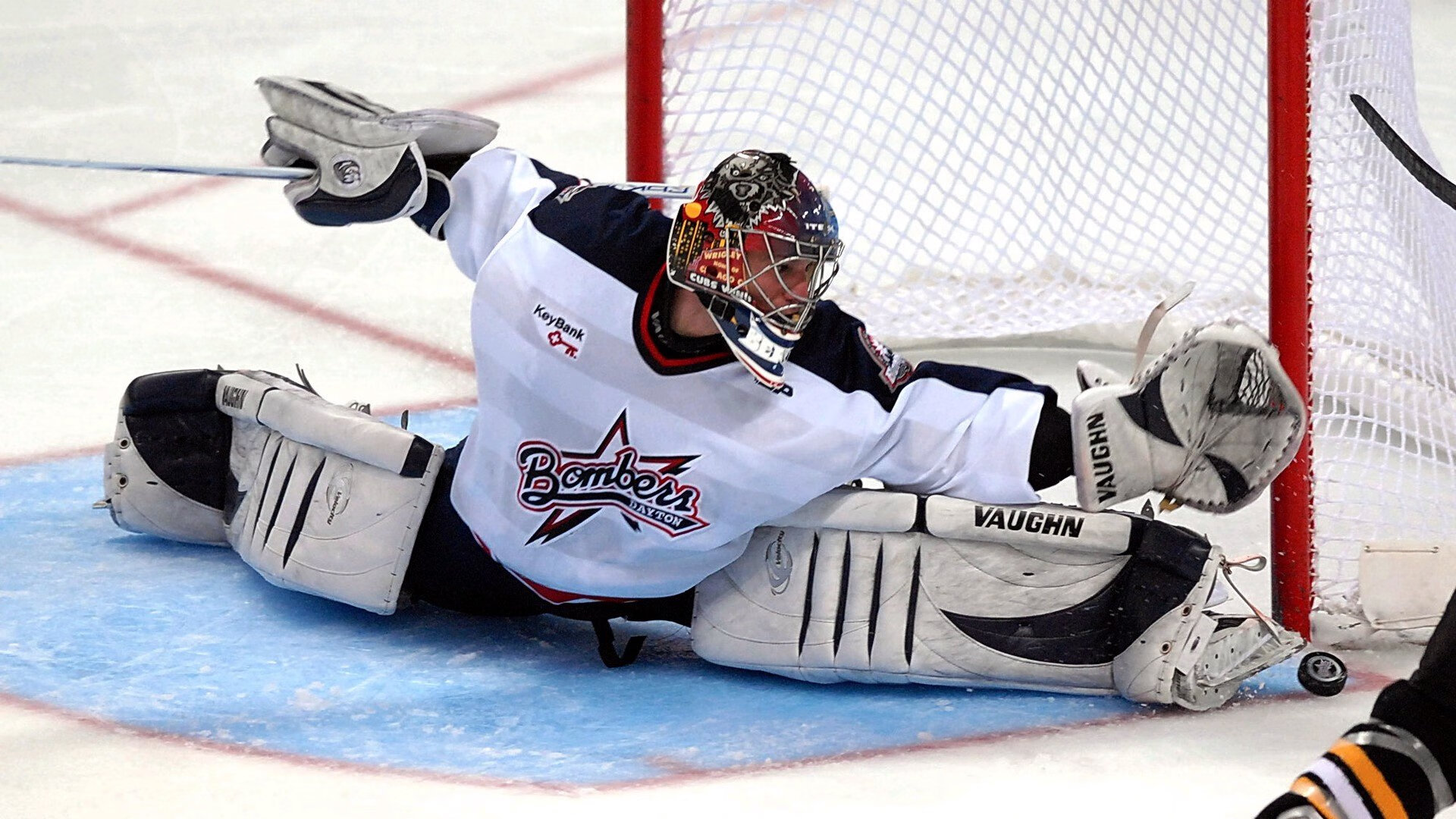 袋鼠队主力球员:塔特 (Tate McDermott),袋鼠体育品牌