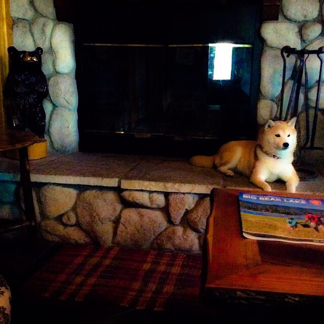 谷爱凌挑战高空跳台动作一气呵成,谷爱凌大跳台比赛时间