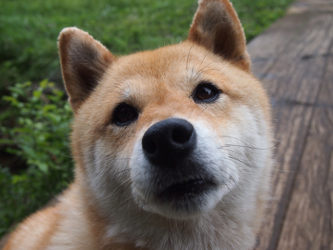 赛会制举办城市名单公布,筹备工作紧锣密鼓,2021赛会制